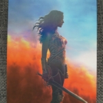 Wonder Woman Full Slip Rückseite