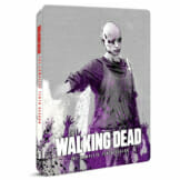 The Walking Dead Season 10 - Zavvi Exclusive Blu-ray Steelbook